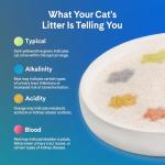 PrettyLitter Health Monitoring Cat Litter - 6 Lbs