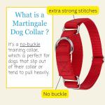 Country Brook Martingale Dog Collar for Training