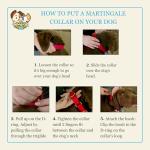 Country Brook Martingale Dog Collar for Training