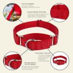 Country Brook Martingale Dog Collar for Training