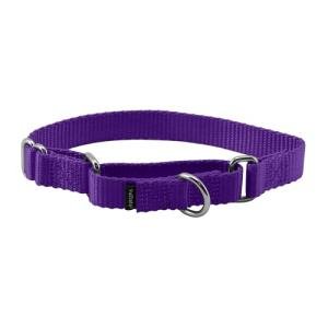 PetSafe Adjustable Martingale Dog Collar, 3/4", Deep Purple