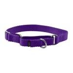 PetSafe Adjustable Martingale Dog Collar, 3/4", Deep Purple