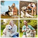 Rechargeable Anti-Bark Collar for Small to Large Dogs