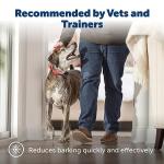 PetSafe Basic Bark Control Collar - Waterproof and Reliable