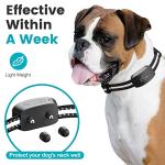 Adjustable Anti-Bark Collar for Small to Large Dogs