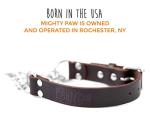 Mighty Paw Martingale Dog Collar – No Pull Design