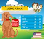 Country Brook Petz Martingale Dog Collar - 1 Inch