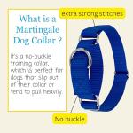 Country Brook Petz Martingale Dog Collar - 1 Inch