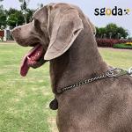 SGODA Stainless Steel Dog Training Choke Collar