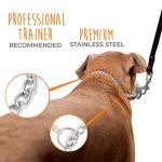 Mighty Paw Stainless Steel Slip Collar for Dogs