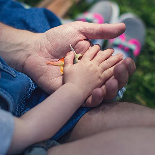 Small Assorted Dinosaur Figures - Mini Plastic Toys