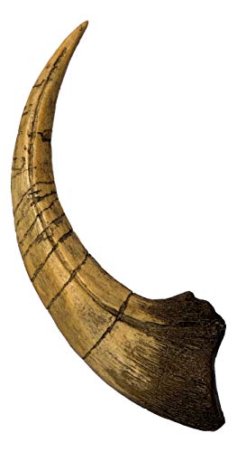 Iron supplement for dinosaur enthusiasts