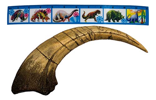 Iron supplement for dinosaur enthusiasts