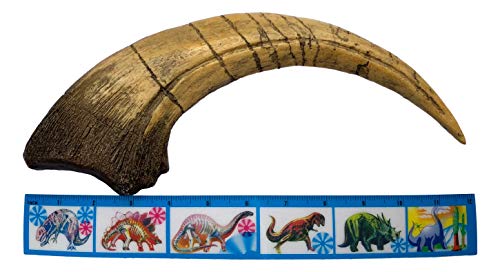 Iron supplement for dinosaur enthusiasts