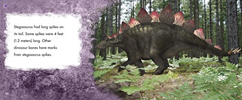 Stegosaurus Book by Tammy Gagne (English) Paperback