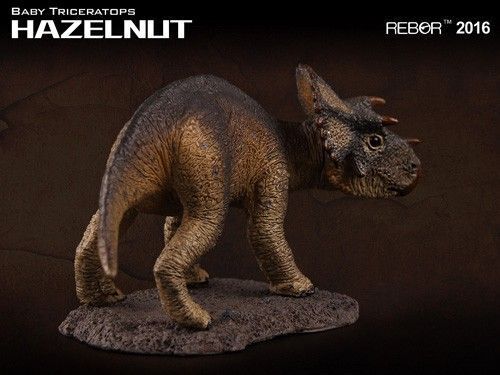 Hazelnut Baby Triceratops Replica - Museum Quality