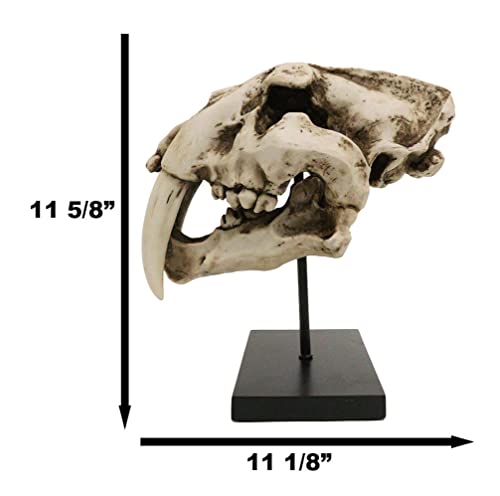 Sabertooth Tiger Skull Statue with Mounting Pole
