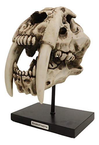 Sabertooth Tiger Skull Statue with Mounting Pole