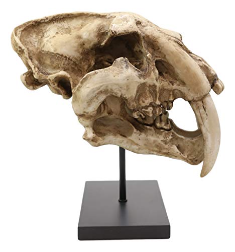 Sabertooth Tiger Skull Statue with Mounting Pole