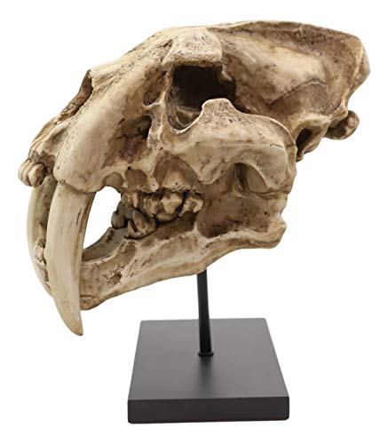 Sabertooth Tiger Skull Statue with Mounting Pole