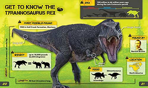 Tyrannosaurus Rex Paperback by Rebecca Sabelko