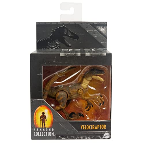 New 2021 Jurassic World Hammond Collection Velociraptor Dinosaur 3.75" Figure