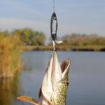 2PAK Topwater Fishing Lures Bass Plopper Lure Floating Bait with Rotating Tail