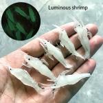 10pcs Luminous Shrimp Lures Saltwater Freshwater Bait Set Sharp Hooks