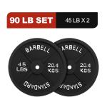 Cast Iron Weight Plates, 1-Inch Hole, 2-Pack or 4-Pack Options (2.5LB–45LB), Bla