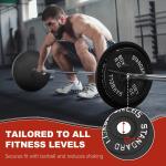 Cast Iron Weight Plates, 1-Inch Hole, 2-Pack or 4-Pack Options (2.5LB–45LB), Bla