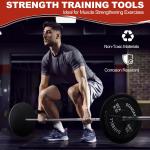 Cast Iron Weight Plates, 1-Inch Hole, 2-Pack or 4-Pack Options (2.5LB–45LB), Bla