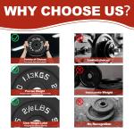 Cast Iron Weight Plates, 1-Inch Hole, 2-Pack or 4-Pack Options (2.5LB–45LB), Bla