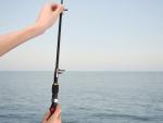 Light Travel Telescopic Carbon Freshwater, Casting Rod