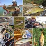 M MAXIMUMCATCH Maxcatch ECO Large Arbor Fly Fishing Reel (3/4wt 5/6wt 7/8wt) and Pre-Loaded Fly Reel with Line Combo (Brook Trout Fly Reel Loaded Moss Green Line, 3/4 Weight)