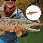 10 Whopper Plopper Topwater Fishing Lures for Bass