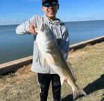 A.M. Fishing Curly Tail Jerkshad Lures - 6 Pack