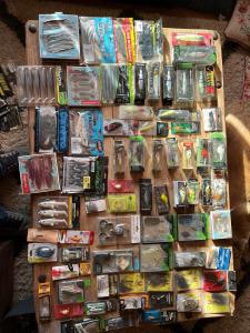 Rubber Fishing Lures: Worms, Lizards, and Minnows