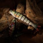 Lifelike 5-Section Bionic Fish Lure with Hooks