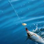 5-Pack Spinner Blade Fly Fishing Lures Set