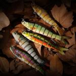 Lifelike 5-Section Bionic Fish Lure with Hooks