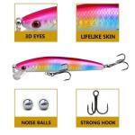 10 Fishing Lures Set for Bass and More
