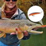 10 Fishing Lures Set for Bass and More