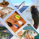 Mixed-Color Crappie Jigs Kit - 5 Pieces