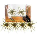 Sea Urchin Soft Bait Lure - 4 Pack