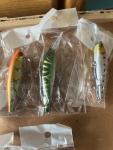 20-Piece Minnow Fishing Lure Set with Case