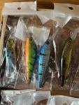 20-Piece Minnow Fishing Lure Set with Case