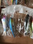 20-Piece Minnow Fishing Lure Set with Case