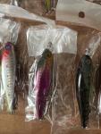 20-Piece Minnow Fishing Lure Set with Case