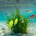 Double-Hook Bottom Rig Bait - 6 Pack