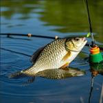 Double-Hook Bottom Rig Bait - 6 Pack